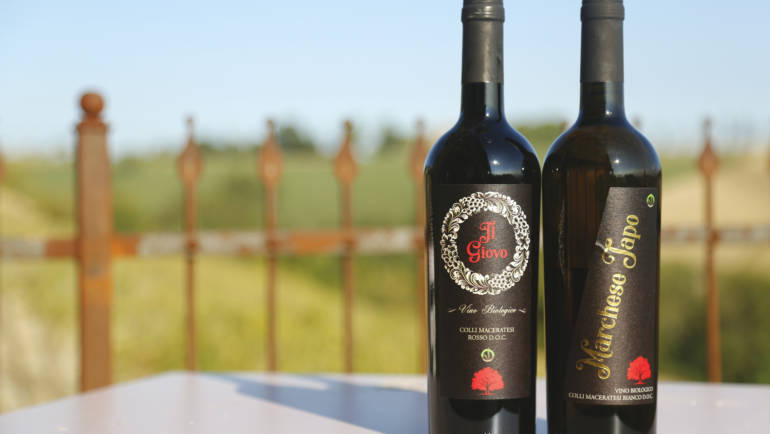 Guida Vitae – le marche nel bicchiere